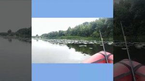 #Пакрафт #билюта #река #Воронеж #Сплав #походвыходногодня #липецк