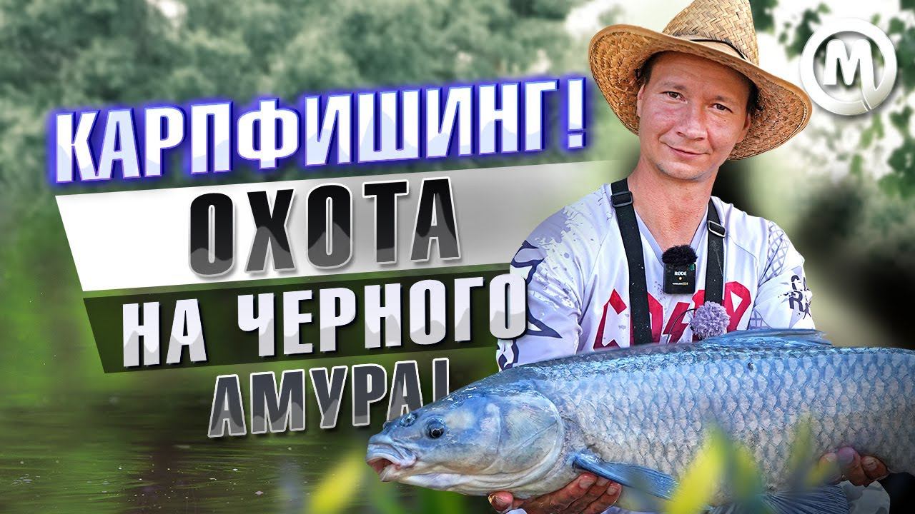 МОЩНЫЕ ПОКЛЕВКИ! Черная торпеда! Результат - закорма! смотреть онлайн