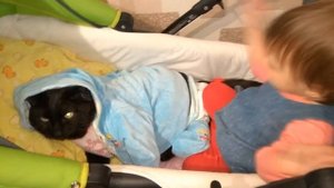 Timoha tv show и Котик в Колясочке??? / Баюкаем Кота в коляске??? / Play with cat???