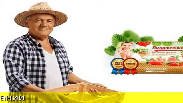 Гигантелла Клубника Отзывы