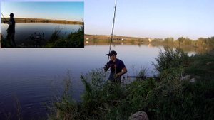 Самарская область, село Большая Каменка 06.08.2021. Рыбалка на карпа  и толстолобика.#fishing #carp