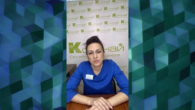 Общая анестезия. Просто о сложном. Ветеринария смотреть онлайн