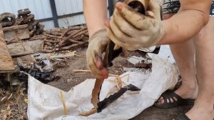 ОГРОМНЫЙ МЕДНЫЙ КАБЕЛЬ! МЕДЬ СВИНЕЦ. ОБЖИГ БЕЗ ДЫМА