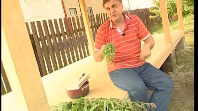 Борьба с сорняками с помощью кур!