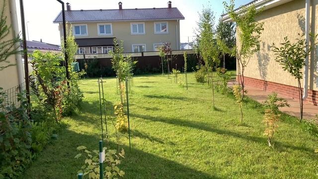 VLOG МАССАЖ КОГДА БОЛИТ СПИНА   НАШЕ КРЕСЛО US MEDICA YAMAGUCHI ORION