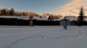 купил ЛЫЖИ для ОХОТЫ | какие? зачем?  #лыжи #тайга #охота #зима