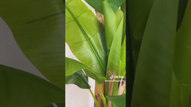 Artificial Banana tree with real wooden trunk - 10 feet