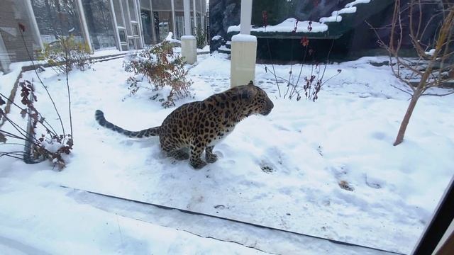 ПРИЧИНЫ дневной СОНЛИВОСТИ | Доктор 24