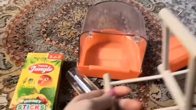 ПОКУПКИ ДЛЯ ПОПУГАЯ в интернет-магазине беру смотреть онлайн