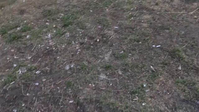 Сказка на ночь Мальчик не знающий английский язык смотреть онлайн