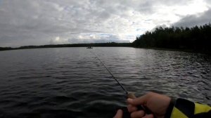 Ловля щуки на силиконовые приманки. Рыбалка на лесном озере. Закрытие летнего сезона 2020!!!