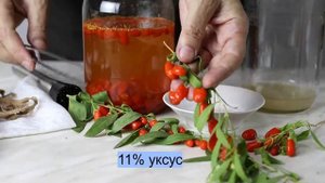 Как из ягод годжи сделать домашний уксус?