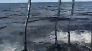 Кварцитный.