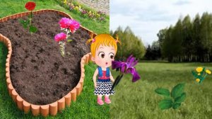 садовые и полевые цветы