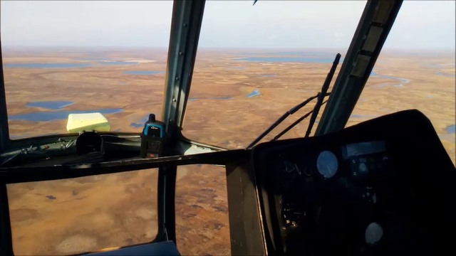Для Виолочки)
