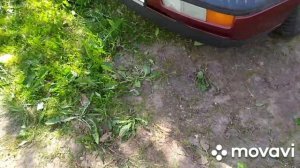 фольксваген вента 1.8 моно 1992 г. в