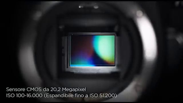 Fotocamera CANON EOS 7D MARK II смотреть онлайн