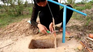 Easy Bird Trap Using Blue Pipe Cardboard and a Apple Fruit