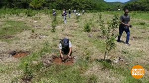 Бразильские "друзья леса". Доброе утро. Фрагмент выпуска от 05.04.2024