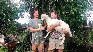 Очень резиновый день в деревне. Куча дел на наши плечи