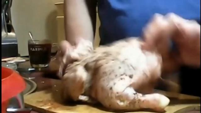 Курица с яблоками в духовке - рецепт домашний смотреть онлайн