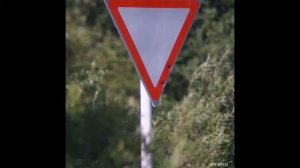 Сверхдлиннофокусный объектив Lightdow   c изменяемым фокусным расстоянием 420-800 мм. Ил... | #Обзо