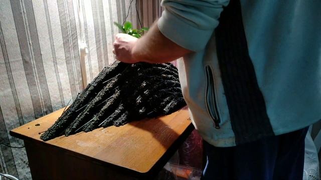 Аквариум с растениями без грунта / Aquarium with plants without soil смотреть онлайн