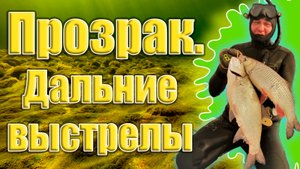 Подводная охота на Волге. Февраль. Дальние выстрелы