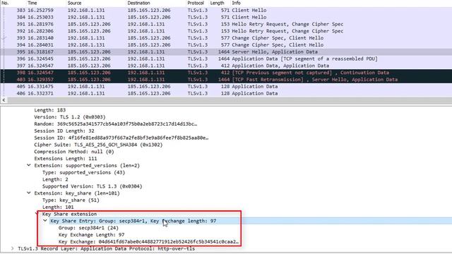 Протокол TLS 1.3 в WireShark  | Защищенные сетевые протоколы