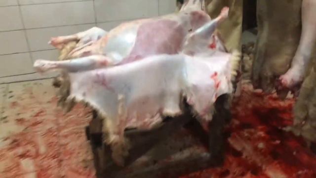 Санкт-Петербург даг смотреть онлайн