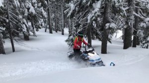 SKI-DOO SUMMIT 850 165 x 3 INCH track