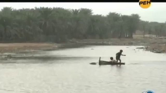 Йемен Остров Сокотра Обратная сторона дикой природы Африка Сказка планеты Эпоха неолита Традици Воя смотреть онлайн