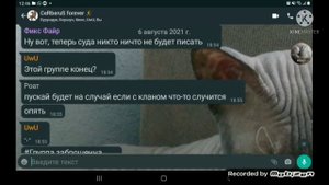 что случилось с кланом CeRberuS в вайлд крафт?