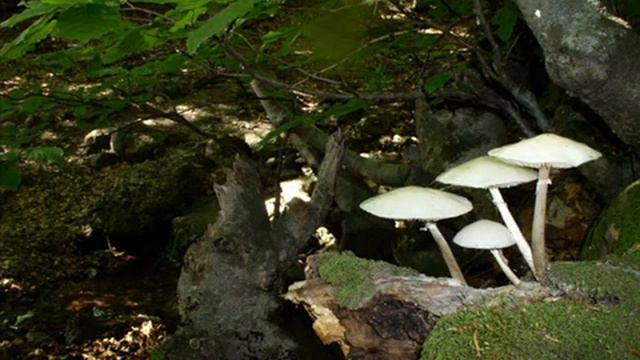 Александр Николин art - 3 Крым, Рай для фото художника смотреть онлайн