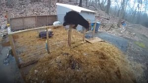 Слово Пацана Разъезд Чушпаны #словопацана