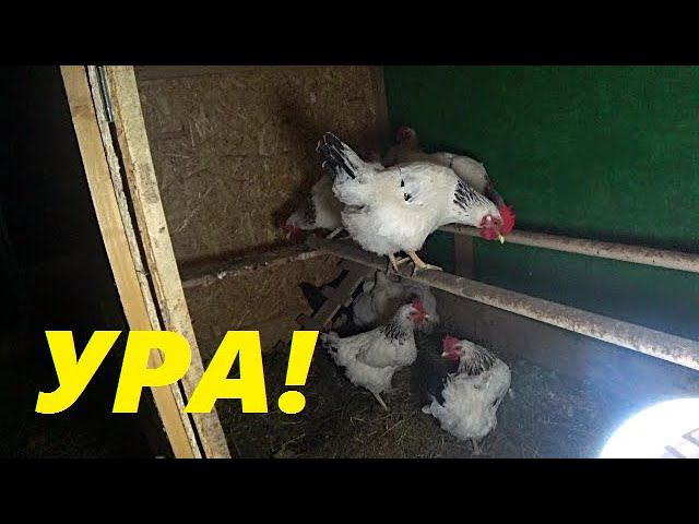 Посылка от сватьи. Наконец-то новоселье! Курятник в теплице!
