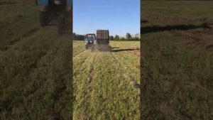 Пресс подборщик ленточный в работе