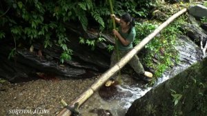 Harvest forest fruits and bring them to the market to sell, survival alone