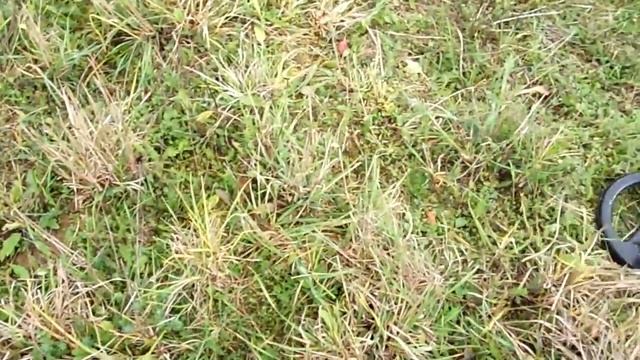 Поиск монет (микс) смотреть онлайн