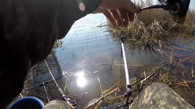 Эти караси рвут леску ! Крупный карась весной на фидер . смотреть онлайн