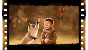 Коты воспитывают детей. Усатые няни