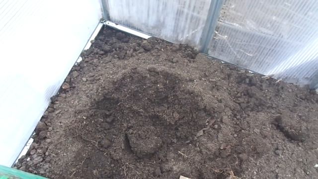 ГОТОВЛЮ ЛУНКИ ДЛЯ ВЫСАДКИ ТОМАТОВ В ТЕПЛИЦУ. Ольга Чернова. смотреть онлайн