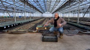 Гидропонные лотки производства "АБС Теплица", мнение специалиста.