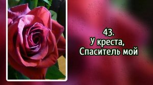 Гимны надежды 43 У креста, Спаситель мой (-)