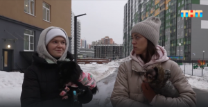 Нормально ли после развода жить в одной квартире?