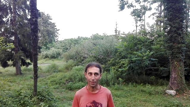 Как правильно перейти на живое питание (сыроедение)? 5 принципов.