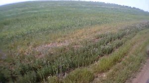 Трактор Т 150К.Планировка дорог Т-150к с грейдером СД-105А.14.05.2020