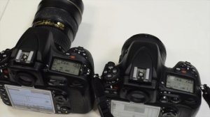 Nikon D810 vs Nikon D800 (Shutter sound)