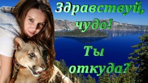 Здравствуй, чудо! Ты откуда? (Удивительная жизнь пумы Месси)