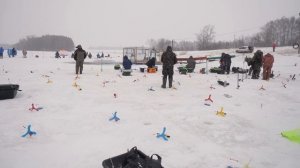 ФОРЕЛЬ на ПЛАТНИКЕ. Форель на силикон со льда.